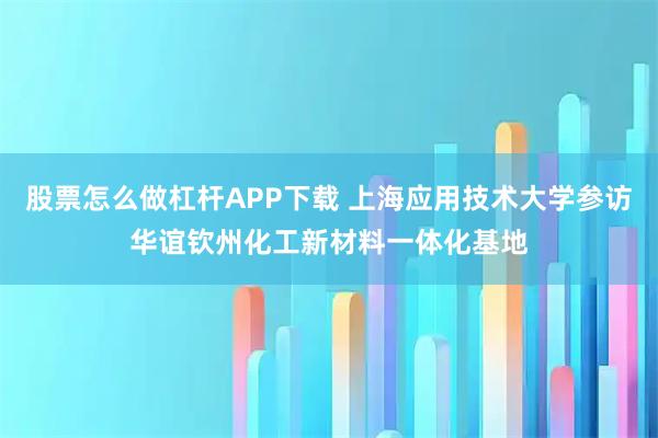 股票怎么做杠杆APP下载 上海应用技术大学参访华谊钦州化工新材料一体化基地