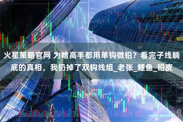 火星策略官网 为啥高手都用单钩微铅？看完子线躺底的真相，我扔掉了双钩线组_老张_鲤鱼_铅皮