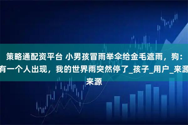 策略通配资平台 小男孩冒雨举伞给金毛遮雨，狗：有一个人出现，我的世界雨突然停了_孩子_用户_来源