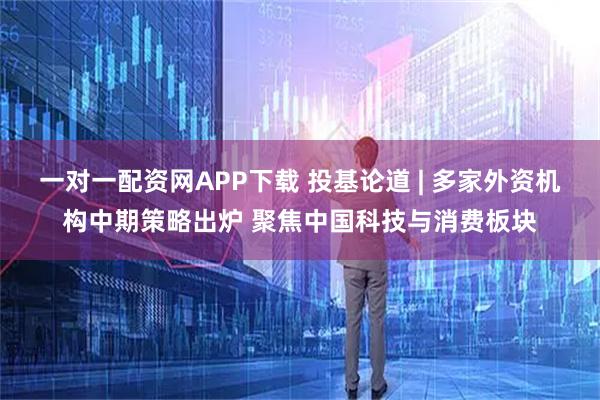 一对一配资网APP下载 投基论道 | 多家外资机构中期策略出炉 聚焦中国科技与消费板块