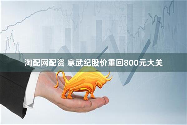 淘配网配资 寒武纪股价重回800元大关