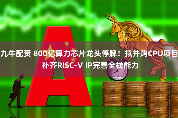 九牛配资 800亿算力芯片龙头停牌！拟并购CPU项目 补齐RISC-V IP完善全栈能力